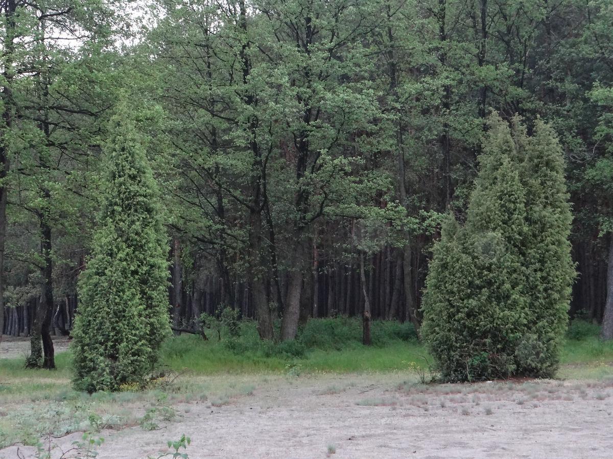 Cottages On Polyova Zgorany Екстериор снимка